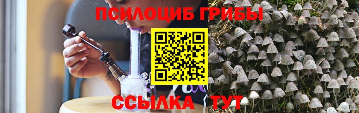 Осинники  закладки  Вход с VPN  Псилоцибиновые грибы Psilocybe 